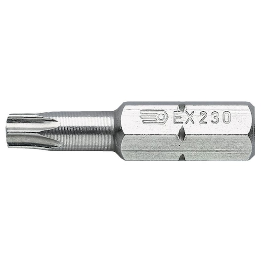 Standard bits series 2 for TORX® screws T45