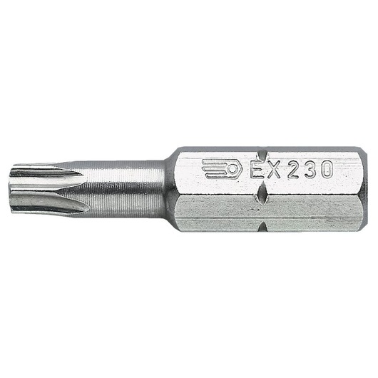 Standard bits series 2 for TORX® screws T55